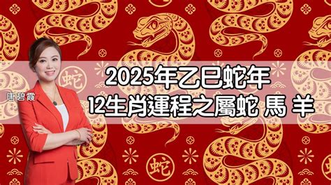 2027年生肖運程|2025蛇年運程｜12生肖運勢全面睇+犯太歲4生肖+開運大